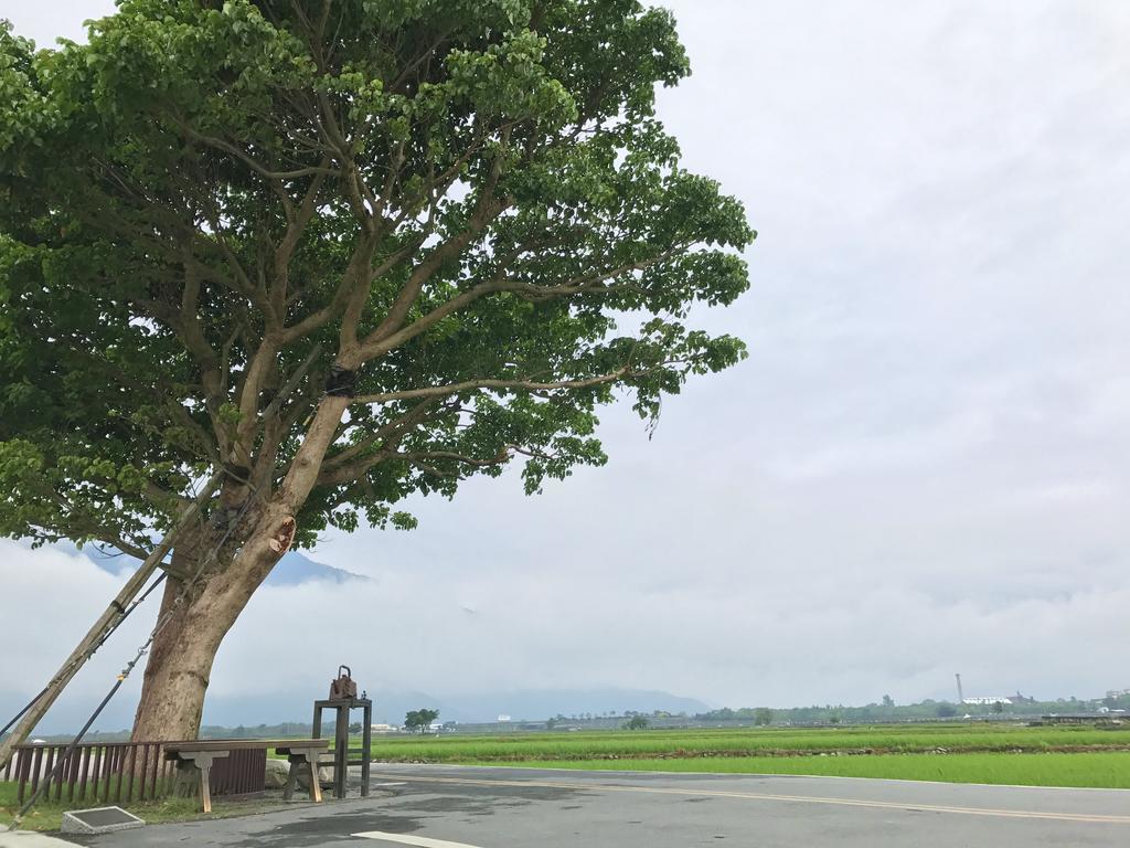 玉蟾園民宿 寵物友善 Yuchanyuan B&B Chishang Exteriér fotografie