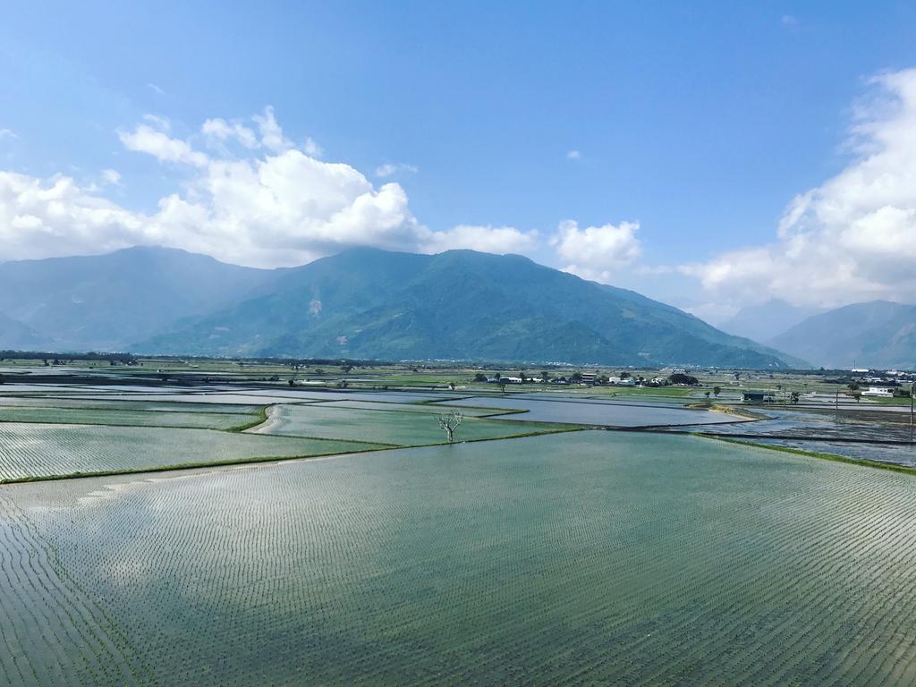 玉蟾園民宿 寵物友善 Yuchanyuan B&B Chishang Exteriér fotografie