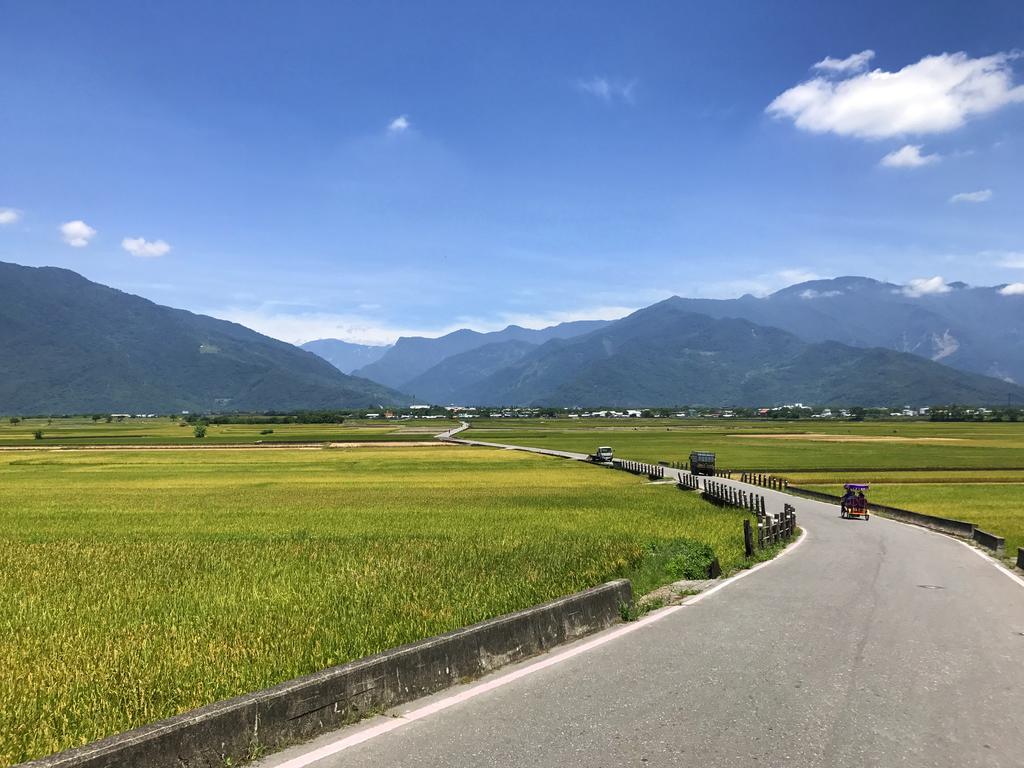 玉蟾園民宿 寵物友善 Yuchanyuan B&B Chishang Exteriér fotografie